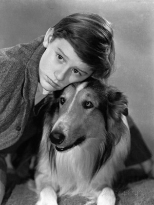 Roddy McDowall