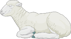 L'agneau