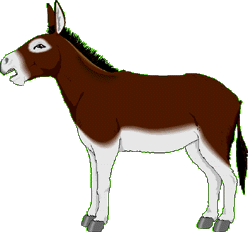 âne
