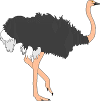 L'autruche