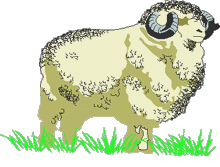 Le bélier