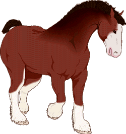 Le cheval