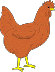 La poule