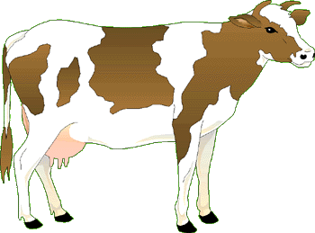 la vache