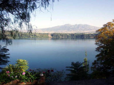 debre zeit