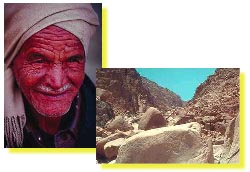 Bédoin du Sinaï
