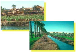 Le Nil permet l'irrigation des terres