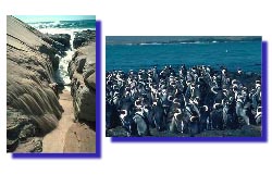 Côtes de la Namibie
