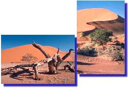Les dunes du désert du Namib