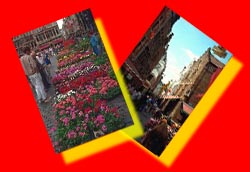 Bruxelles, marché aux fleurs