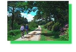 Ballade à vélo