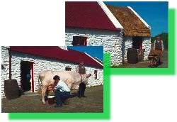 Travaux de la ferme