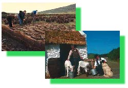 Travaux de la ferme