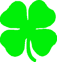 Le Trèfle Irlandais