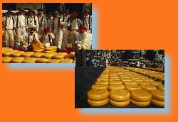 Marché traditionnel de Gouda