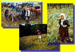 Scènes de la campagne roumaine