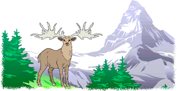 chasse au renne