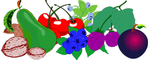 Fruits sauvages